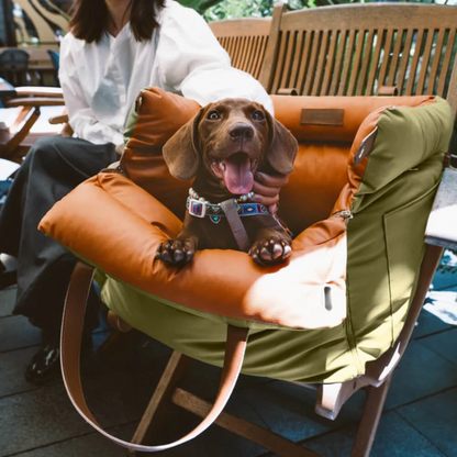 UrbanPaws Hundesæde